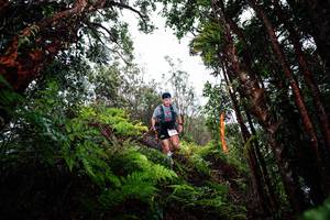 BIB: 
                            <button type="button" onclick="openModal(26204903)" class="btn btn-primary btn-sm float-right btn-popup" data-toggle="modal" data-target=".modal-high-quality">
                        <i class="fas fa-shopping-cart"></i> Add to Cart
                    </button>
                                            <button type="button" onclick="isThisMe(26204903, true)" class="btn btn-success btn-sm float-right btn-popup btn-isme hidden" data-toggle="tooltip" data-placement="bottom" title="นี่คือรูปของคุณใช่ไหม คลิกที่นี่เพื่อเอาเข้าอัลบั้ม">
                        <i class="fas fa-plus"></i> Add to album
                    </button>
                    <button type="button" onclick="isThisMe(26204903, false)" class="btn btn-warning btn-sm float-right btn-popup btn-isnotme hidden">
                        <i class="fas fa-ban"></i> Remove from album
                    </button>